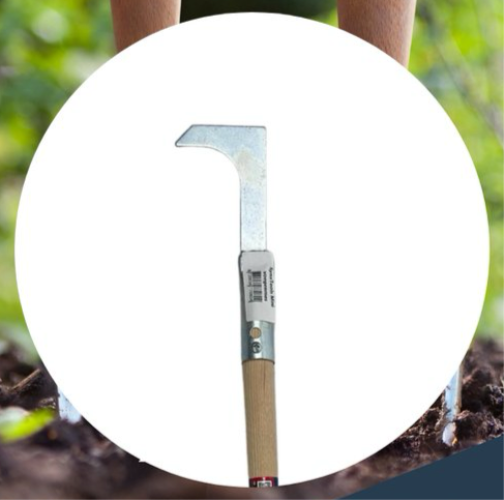 Unkrautstecher mit Holzgriff für die Gartenarbeit