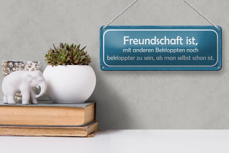 Blechschild Spruch 27x10cm Freundschaft noch bekloppter Dekoration