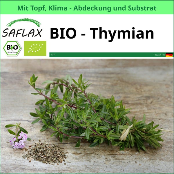 Bio Thymian Pflanze von Saflax mit Topf, Klimaabdeckung und Substrat