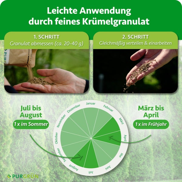 Anwendungshinweise für Purgrün Granulat mit Dosierung und saisonalem Ausbringungskalender in zwei Schritten für die Düngung von Pflanzen.