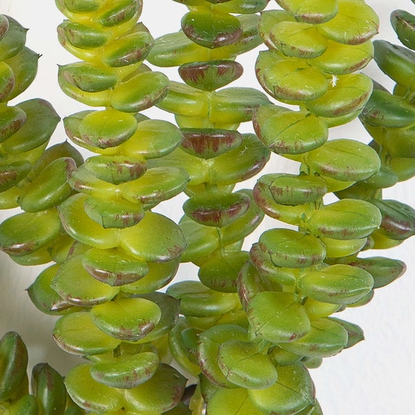 Künstliche Sukkulente mit dicken grünen Blättern und braunem Stiel.