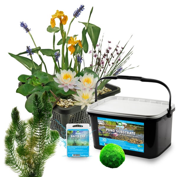 Teichpflanzen-Set bestehend aus Pflanzkorb, Teichsubstrat, Wasserreinigungstabletten, Moosball und Wasserpflanzen wie Seerosen und Schwertlilien.