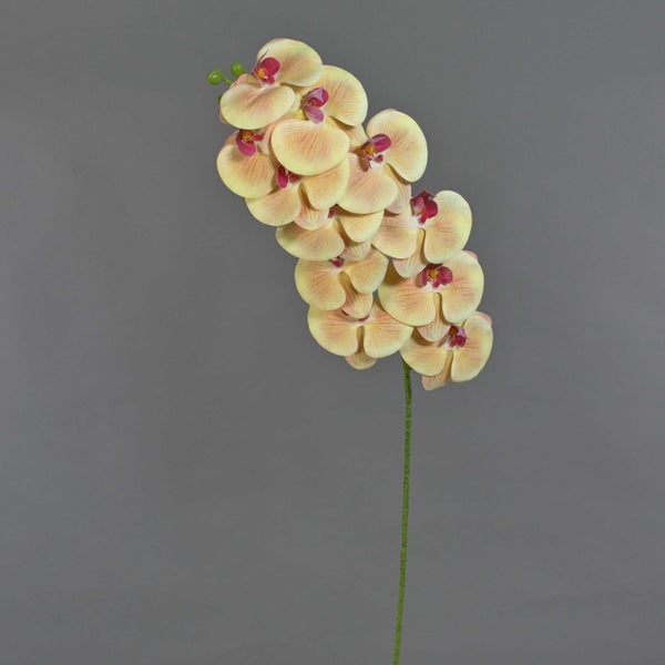 Künstliche Orchidee Phalaenopsis Rispe mit gelben Blüten und dunkelrosa Mitte an grünem Stiel.