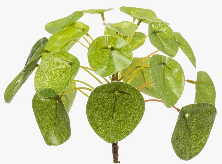 Künstliche Pilea-Pflanze mit runden grünen Blättern
