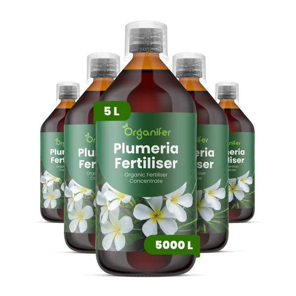 Fünf Flaschen Organifer Plumeria-Dünger, organisches Düngerkonzentrat, ausreichend für 5000 Liter, 5 Liter pro Flasche.