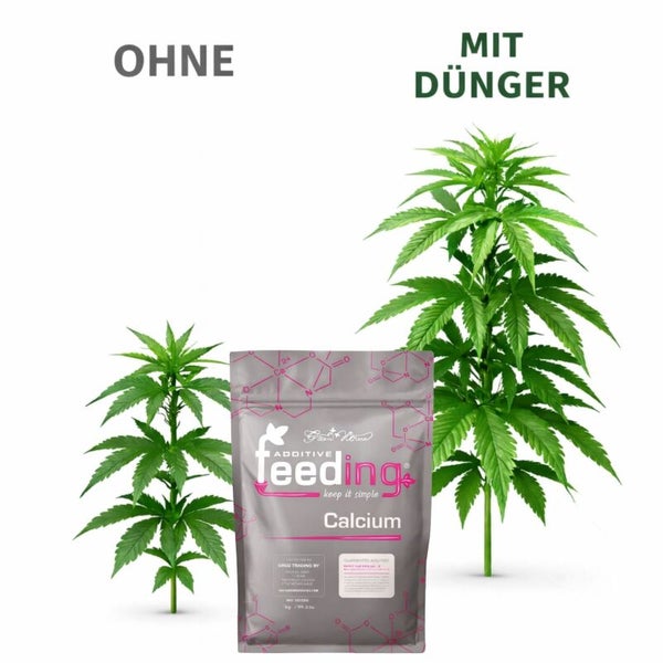 Abbildung eines Calcium-Zusatzes von Green House Feeding mit und ohne Dünger.