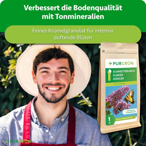 Ein fröhlicher Gärtner mit Hut und Purgrün Schmetterlings Flieder Dünger in einer Packung mit einem Kilogramm Inhalt zur Bodenverbesserung.