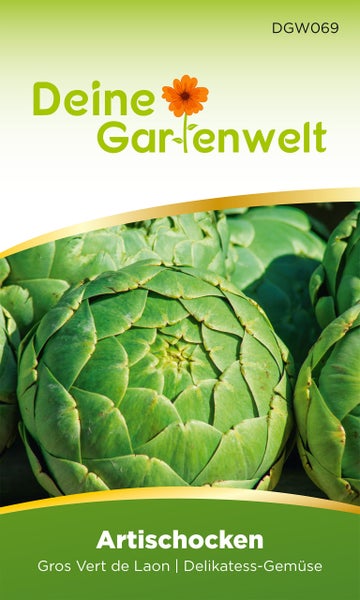 Deine Gartenwelt Artischockensamen Gros Vert de Laon, Delikatess-Gemüse. Nahaufnahme von grünen Artischockenköpfen.