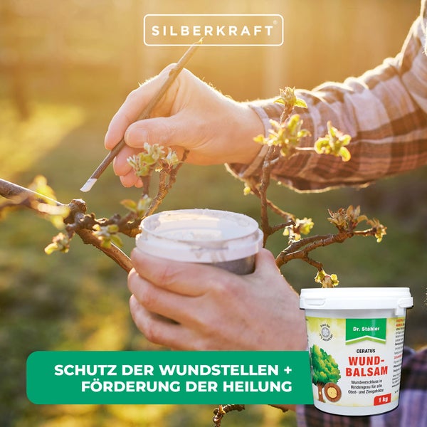 Wundbalsam für Bäume – Zuverlässiger Schutz für Schnitt- und Rindenverletzungen<br />Dauerhafte Wundpflege für Obst-, Zier- und Laubbäume – Atmungsaktiv, elastisch & wetterfest