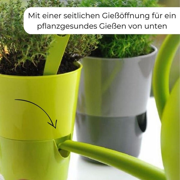 Kräutertopf mit Bewässerungssystem Kräutergarten Küche Balkon Fensterbank Selbstbewässernd Glänzend Kräuterbeet Kräuter Blumen Topf hell + dunkel elfenbein