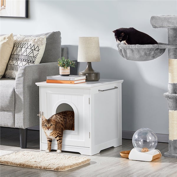 Katze verlässt Katzentoilette im Schrank neben Kratzbaum und Trinkbrunnen
