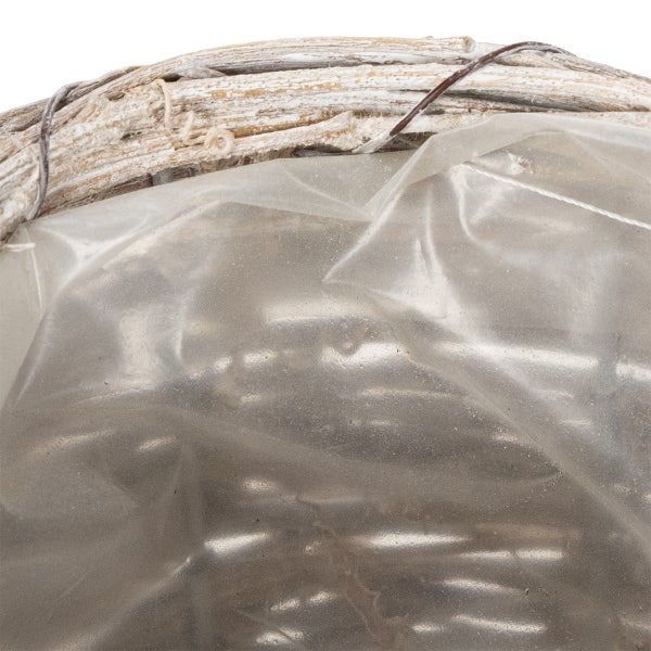 Nahaufnahme von Weidenkätzchenzweigen in einer transparenten Verpackung