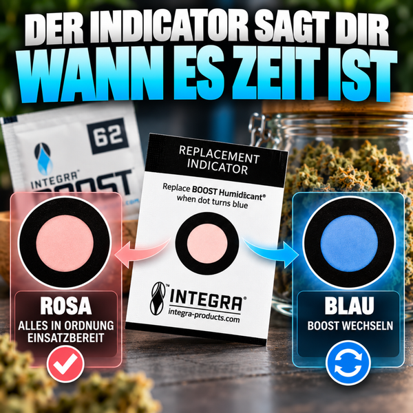 Integra Boost Austauschindikator Karte zeigt den Wechselstatus durch Farbänderung des Punktes von rosa zu blau an.