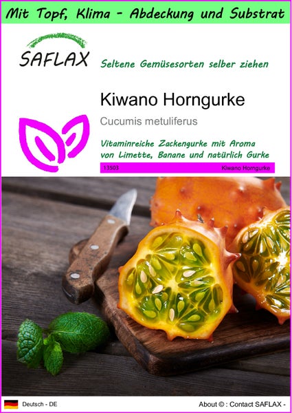 SAFLAX Garden to go - Kiwano Horngurke - Cucumis metuliferus - 10 Samen - Mit Topf, Klima - Deckel und Anzuchtsubstrat