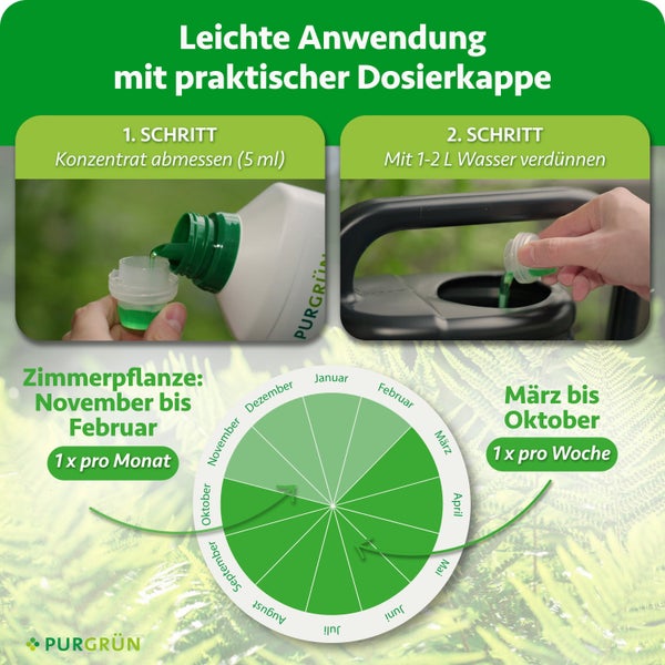 Anleitung zur Anwendung von PURGRÜN Pflanzendünger mit Dosierkappe und Dosierungsschema für Zimmerpflanzen nach Monaten.