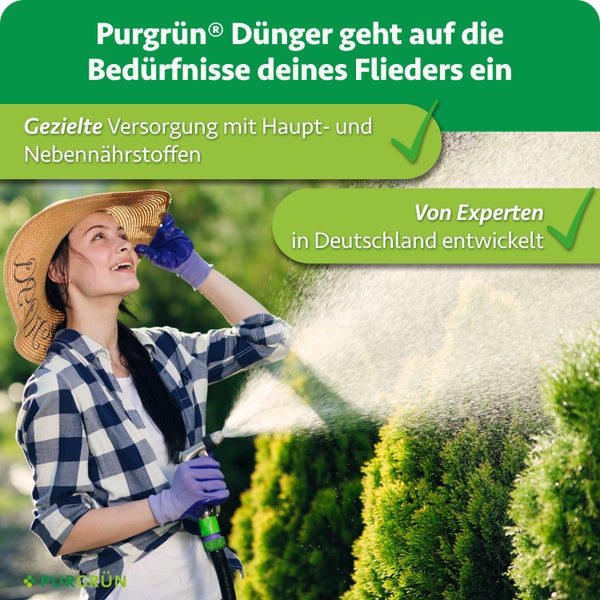 Eine Frau mit Hut und Handschuhen bewässert Pflanzen im Garten, um Purgrün Fliederdünger zu bewerben.