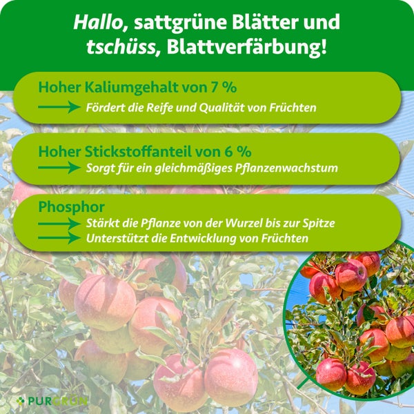 Infografik zu Dünger mit 7 Prozent Kalium für Fruchtreife, 6 Prozent Stickstoff für Wachstum und Phosphor vor einem Apfelbaum. Purgrün Logo.