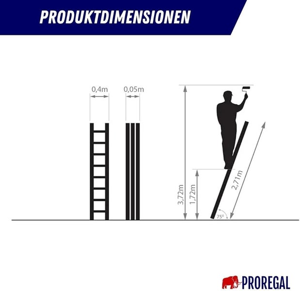 PROREGAL Sprossen-Anlegeleiter ATLAS Ohne Traverse 10 Sprossen Arbeitshöhe 3,72 m Traglast 150 kg