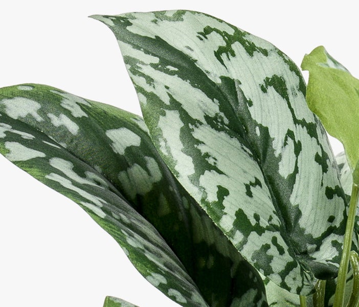 Nahaufnahme einer künstlichen Rose mit grünem Stiel, grünen Blättern und hellrosa Blütenblättern.