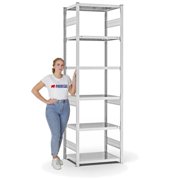 PROREGAL Fachbodenregal Stecksystem T-Profil Heavy-Duty Grundregal HxBxT 250 x 75 x 50 cm 6 Ebenen Fachlast 330 kg Beidseitig Nutzbar Lichtgrau