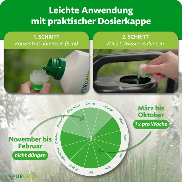 Infografik zur Anwendung von Purgrün Flüssigdünger: 5 Milliliter dosieren, mit 2 Liter Wasser mischen. Düngekalender März bis Oktober. Purgrün Logo.