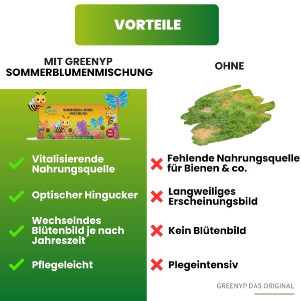 Greenyp Sommer Blumenmischung I 100g für 100m² I Sommerblumenwiese - für Bienen & Schmetterlinge I Blumensamen Mischung ein- und mehrjährig