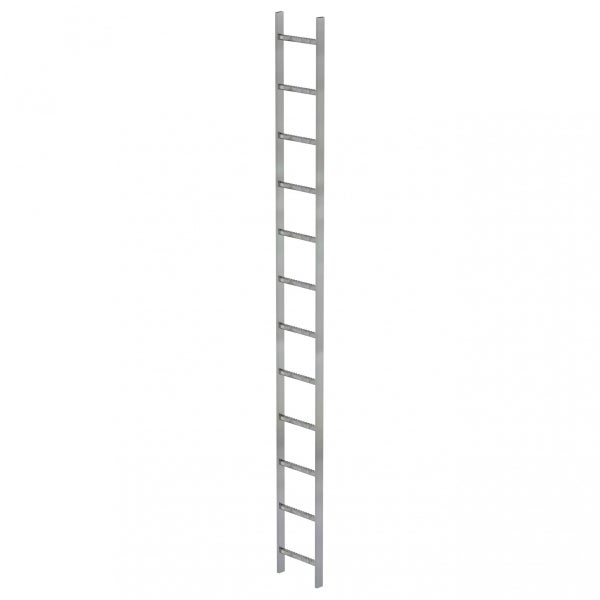 Eine einteilige Steigleiter.