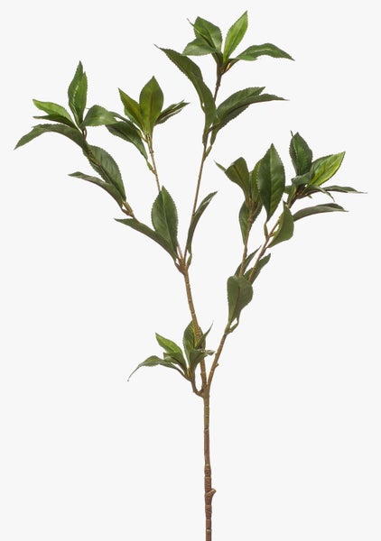 Weiße Kunstorchidee mit grünem Stängel, Nahaufnahme der Blüte.