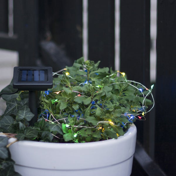 Solarbetriebene Lichterkette in einem Pflanzgefäß mit grünen Pflanzen