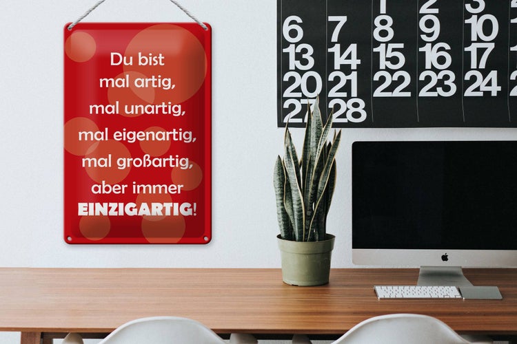 Blechschild Spruch 20x30cm Du bist Einzigartig