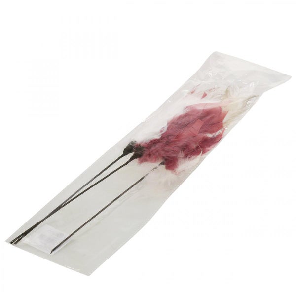 Katzenangel mit Federn in einer Verpackung