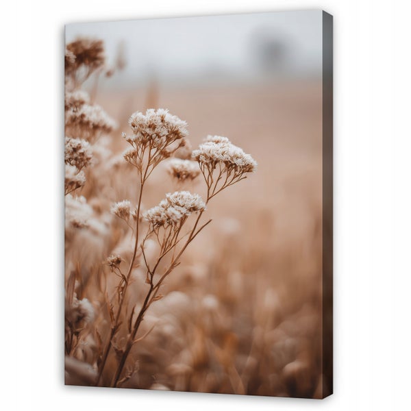 Wandbild auf Leinwand mit Fokus auf getrocknete Wiesenblumen vor einem unscharfen Hintergrund