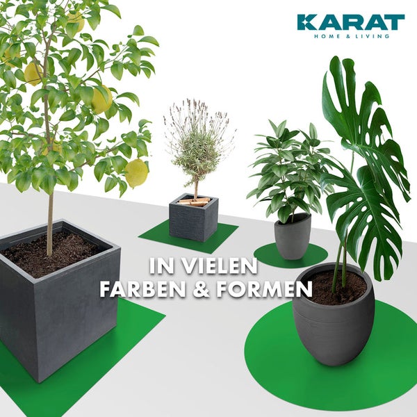 FLOORDIREKT Untersetzer Majesty  - mit abgeschrägter Kante für Blumentöpfe - Bodenschutz - Grün - 90 cm - Rund
