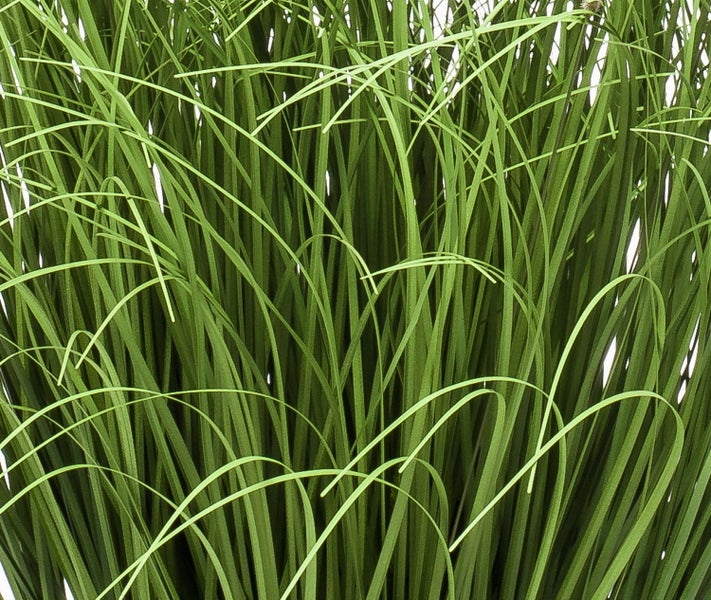 Künstliche Pflanze mit grünen ovalen Blättern und hellen Rändern in der Detailansicht.