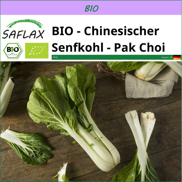 SAFLAX  - BIO - Chinesischer Senfkohl - Pak Choi - Brassica rapa supsp. chinensis - 300 Samen