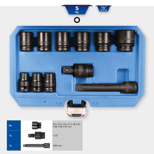 Nusskasten mit acht Nüssen, einem Adapter und einer Verlängerung