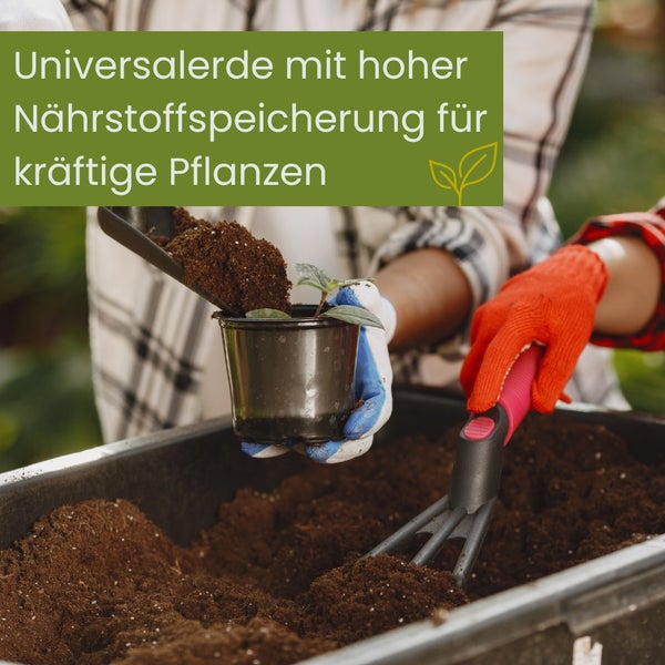 Eine Person pflanzt mit einer Schaufel und einer Harke eine Pflanze in Erde.