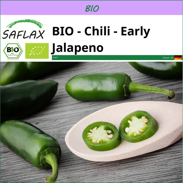 SAFLAX  - BIO - Chili - Early Jalapeno - Capsicum annuum - 20 Samen