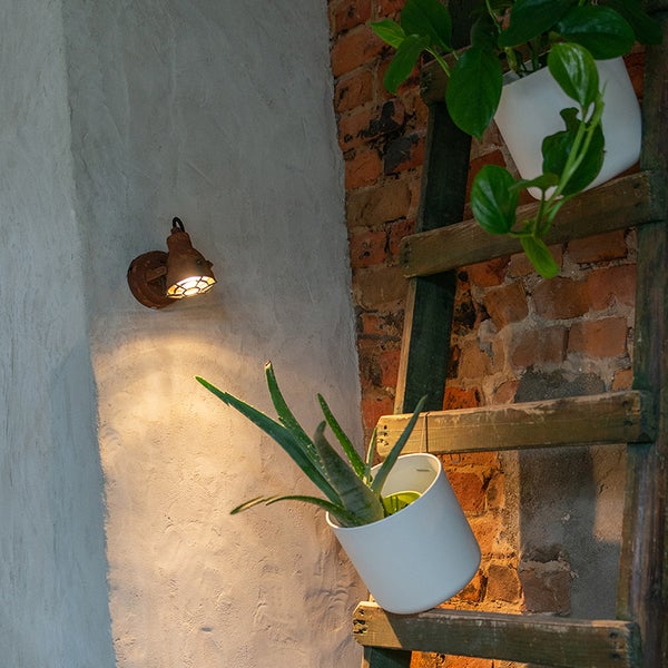 Wandleuchte neben Pflanzen auf einer Leiter an einer Ziegelwand