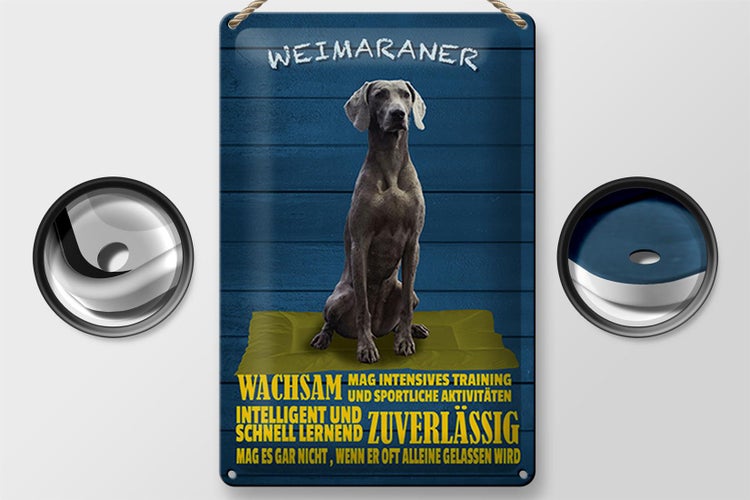 Blechschild Spruch 20x30cm Weimaraner Hund wachsam schnell