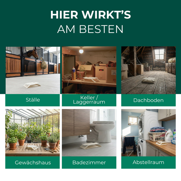 Anwendungsbeispiele für den Feuchtigkeitsmesser: Stall, Keller, Dachboden, Gewächshaus, Badezimmer und Abstellraum