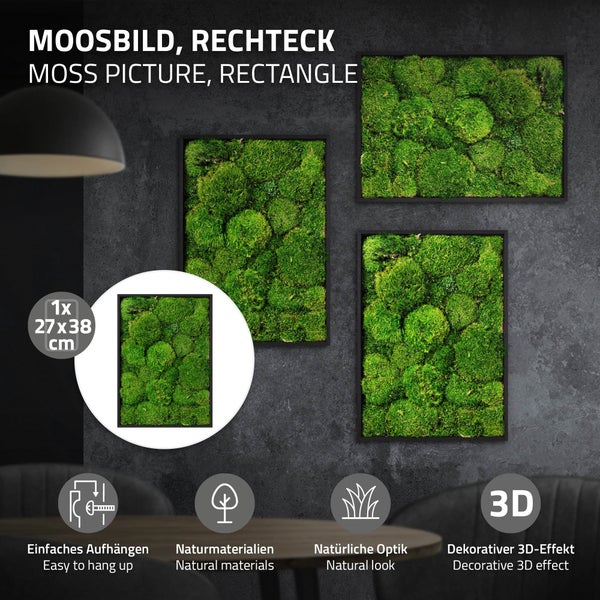 Rechteckiges Moosbild mit natürlicher Optik in einem Rahmen, 27 mal 38 Zentimeter, für dekorative Wandgestaltung mit 3D Effekt.