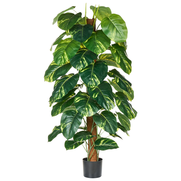 Kunstpflanze DIEFFENBACHIA 152 cm Grün