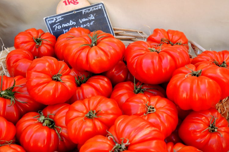 SAFLAX  - BIO - Tomate - Rouge de Marmande - Solanum lycopersicum - 10 Samen