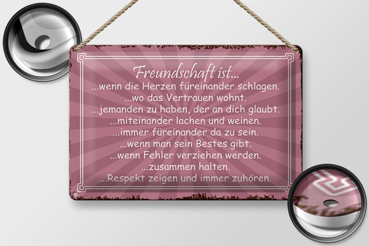 Blechschild Spruch 30x20cm Freundschaft ist wenn Herze