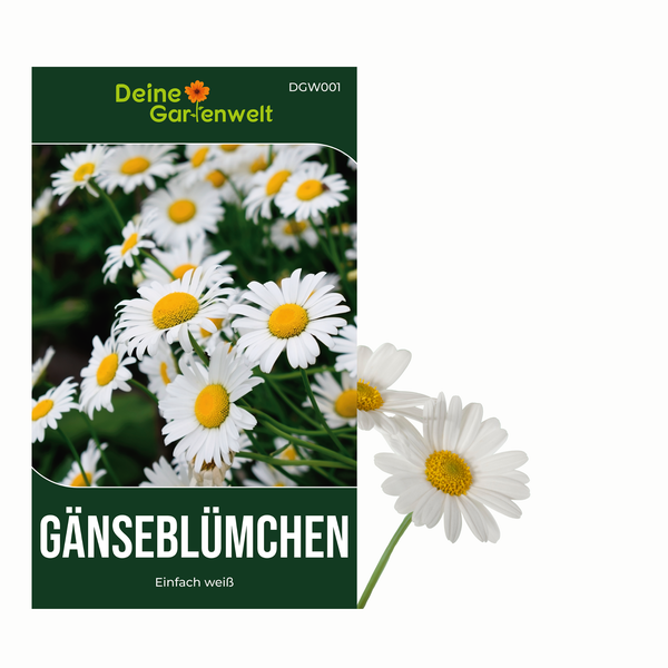 Samentüte für Gänseblümchen der Sorte Einfach weiß von Deine Gartenwelt.