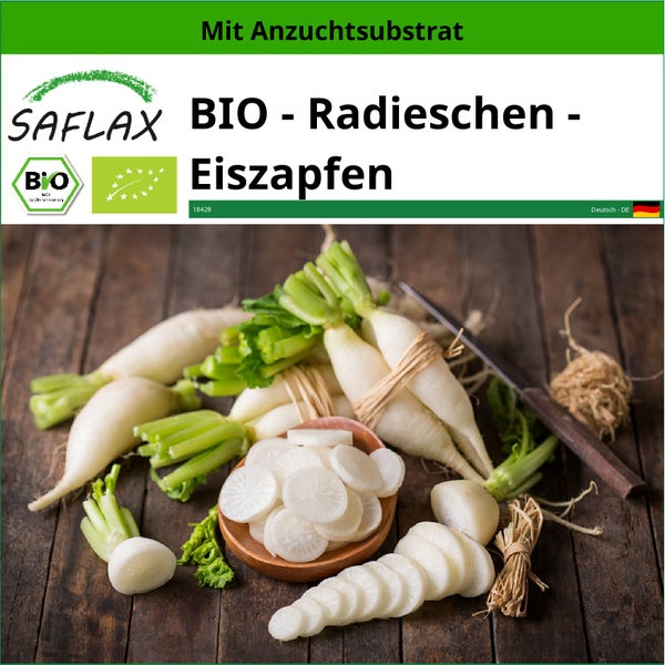 SAFLAX  - BIO - Radieschen - Eiszapfen - Raphanus sativus - 100 Samen - Mit keimfreiem Anzuchtsubstrat