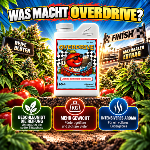 Advanced Nutrients Overdrive Düngerflasche zur Förderung der späten Blütephase mit Darstellung von Reife Blüteneigenschaften und Ertragssteigerung.