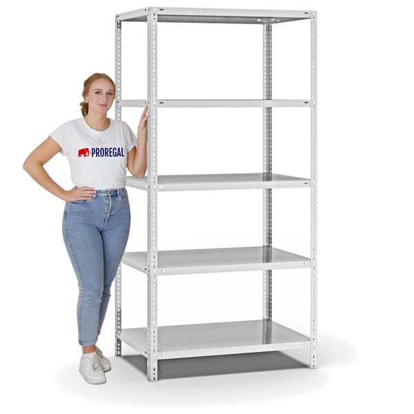 PROREGAL Fachbodenregal Schraubsystem Medium-Duty Grundregal HxBxT 200 x 100 x 60 cm 5 Ebenen Fachlast 200 kg Beidseitig Nutzbar Lichtgrau