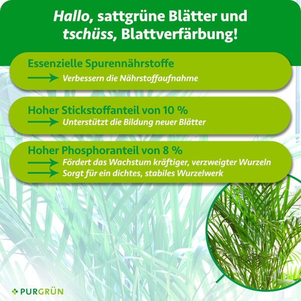 Hundekäfig aus Metall mit Doppeltür und Sicherheitsverriegelung